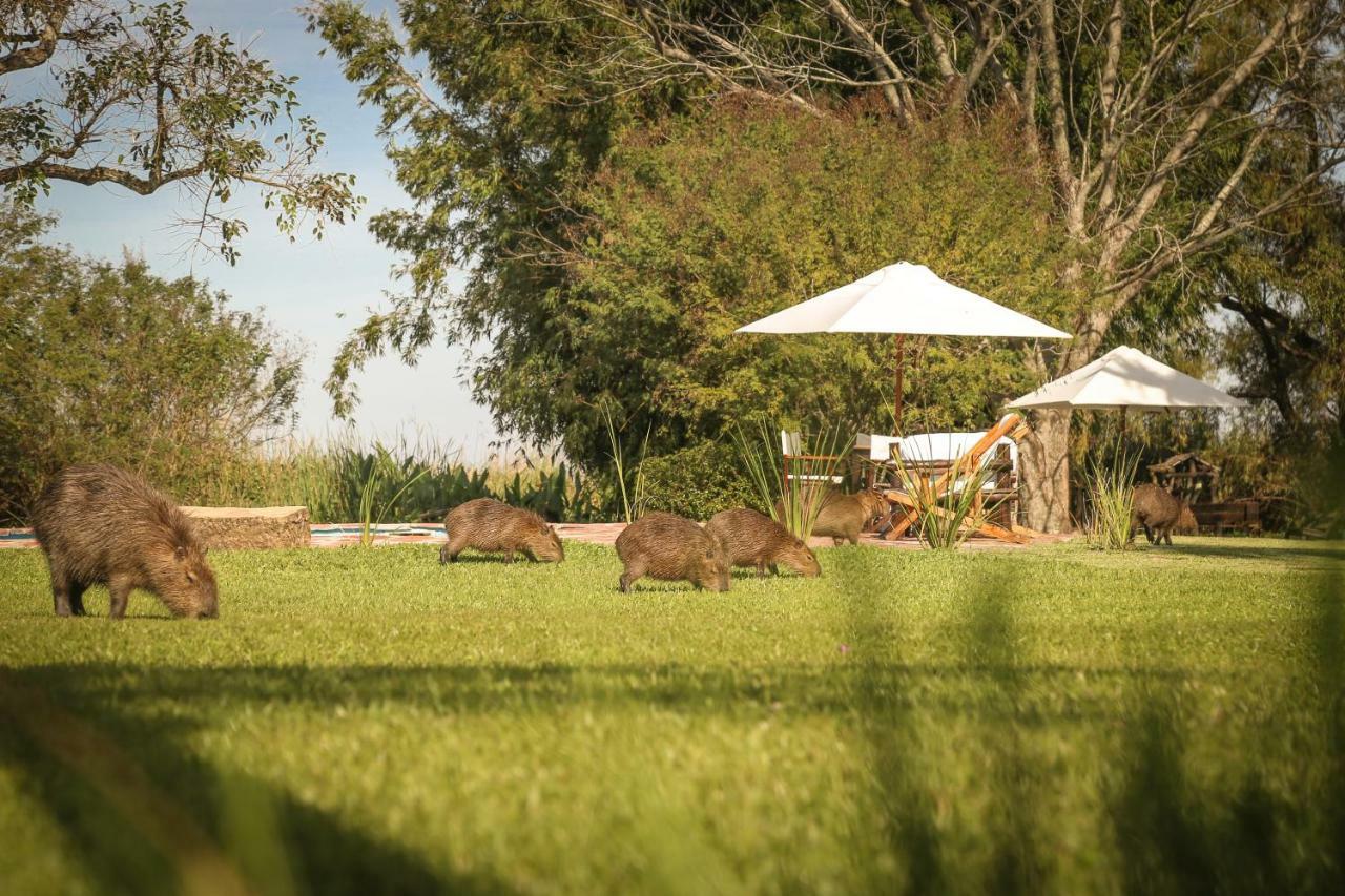 Aguape Lodge Colonia Carlos Pellegrini  Exterior photo